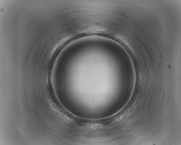 X0000066090539200603171058