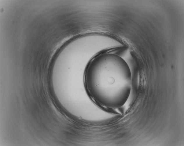 X0000066090540200603171058