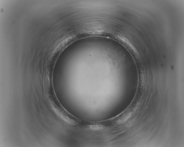 X0000066090541200603171058