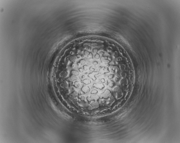 X0000066090542200603171058