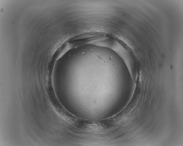 X0000066090544200603171058