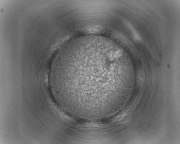 X0000066090545200603171058