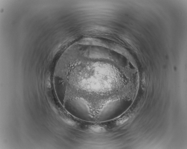 X0000066090547200603171058