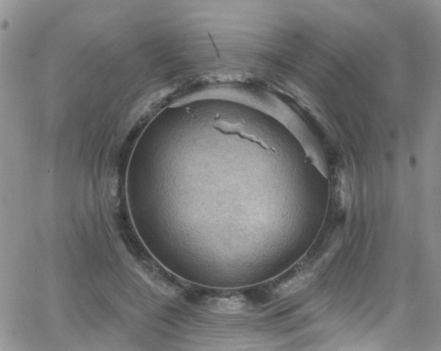 X0000066090548200603171058