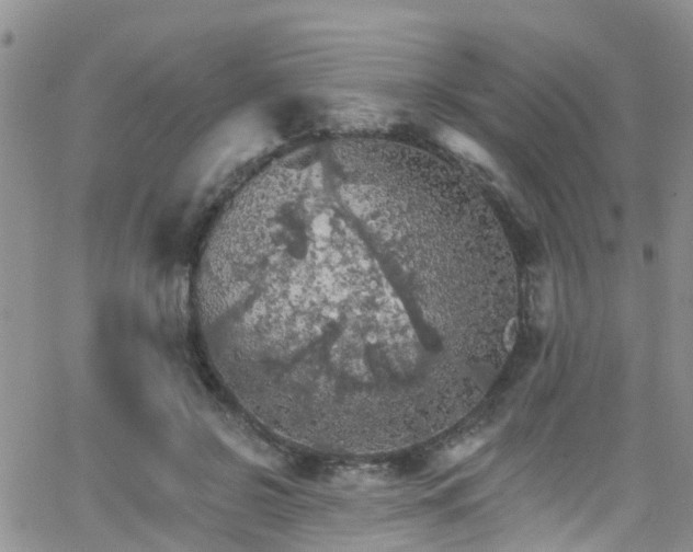 X0000066090550200603171058