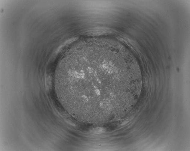 X0000066090551200603171058