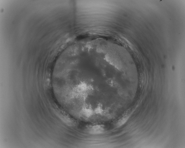 X0000066090553200603171058