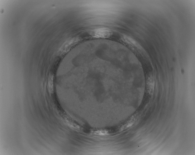 X0000066090554200603171058