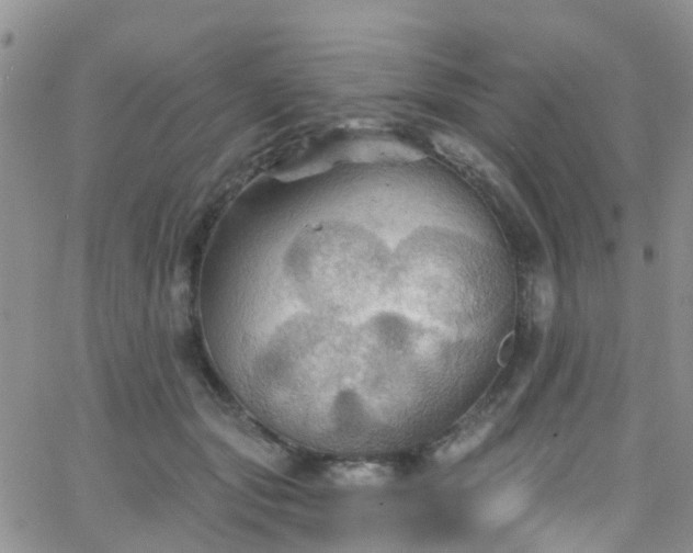 X0000066090557200603171058