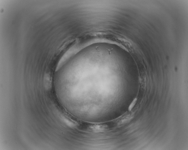 X0000066090558200603171058