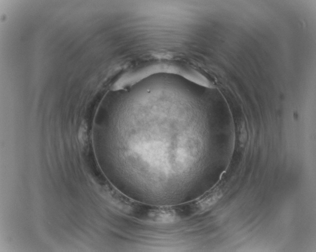 X0000066090559200603171058