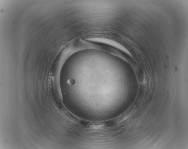 X0000066090560200603171058