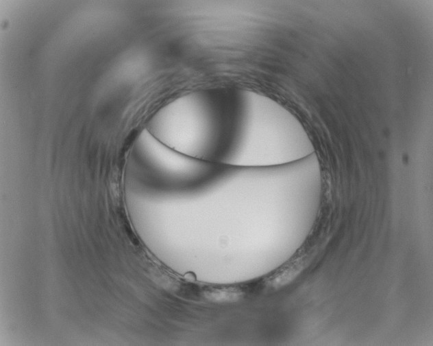 X0000066090561200603171058