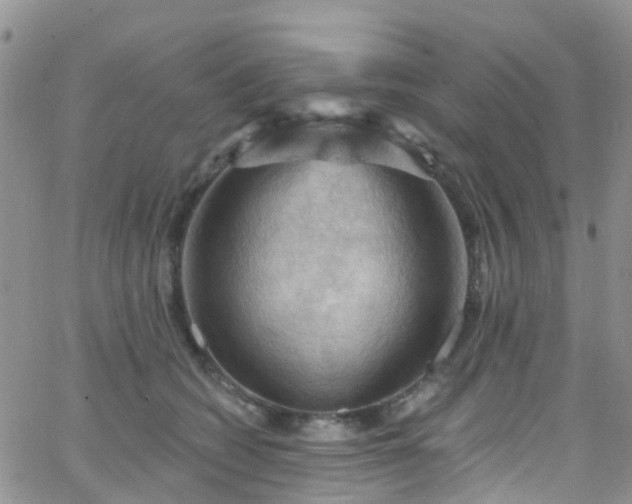 X0000066090562200603171058