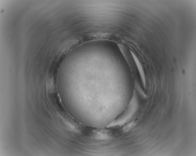 X0000066090564200603171058