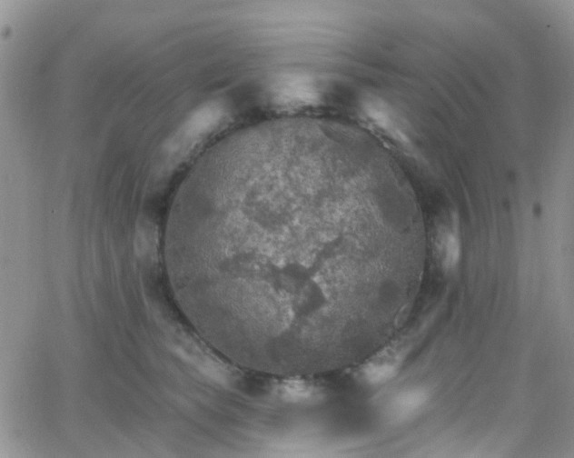 X0000066090565200603171058