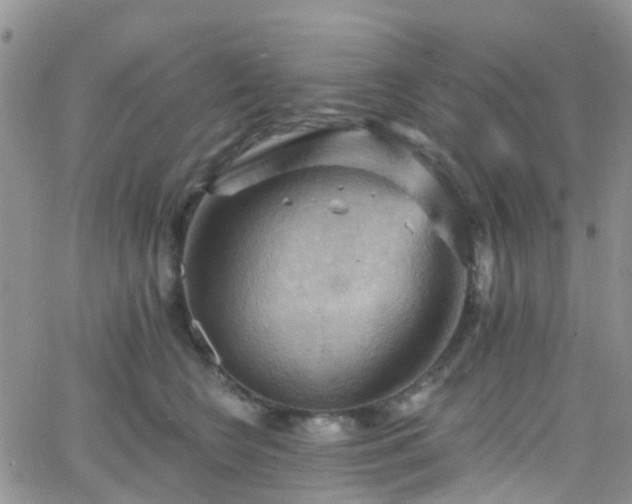 X0000066090566200603171058