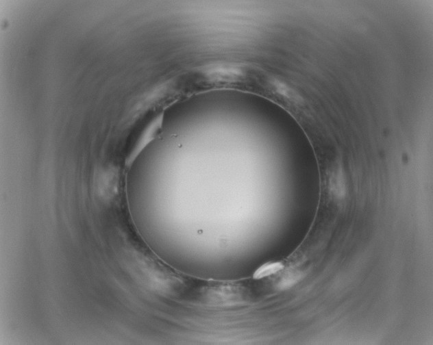 X0000066090567200603171058