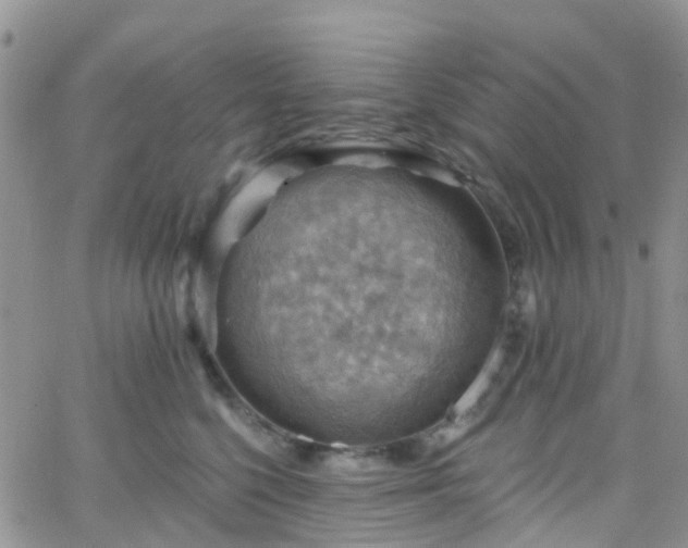 X0000066090568200603171058