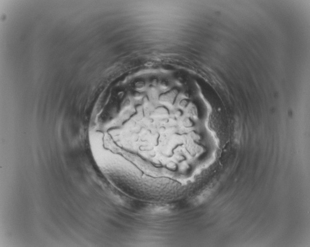 X0000066090569200603171058