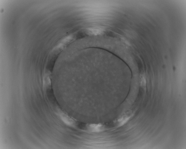 X0000066090570200603171058