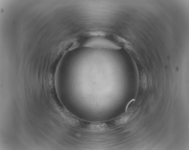 X0000066090571200603171058