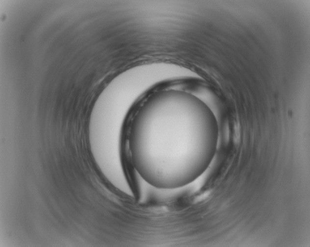 X0000066090572200603171058