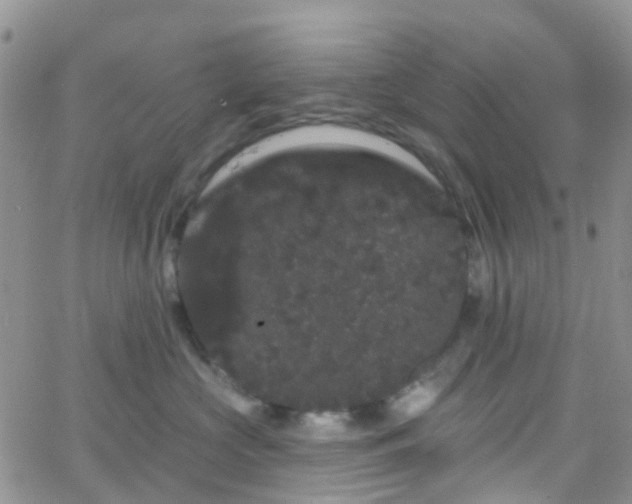 X0000066090573200603171058