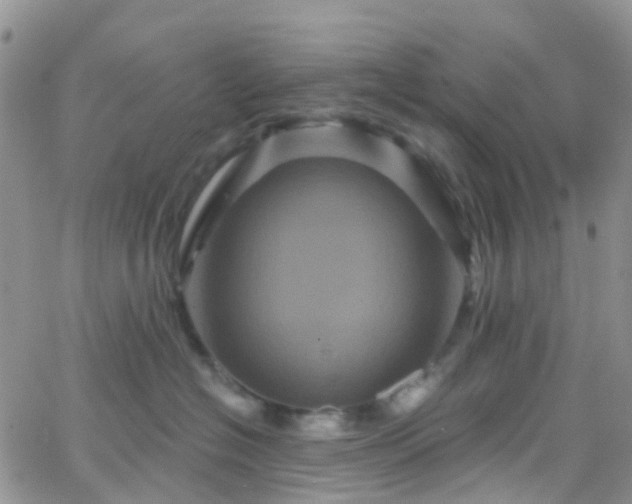 X0000066090574200603171058