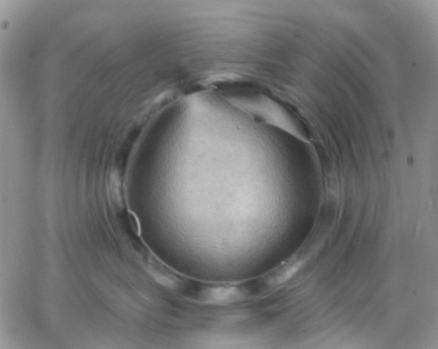 X0000066090575200603171058