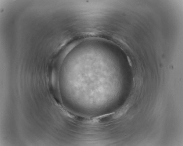 X0000066090576200603171058