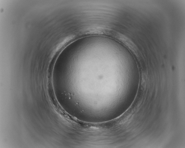 X0000066090578200603171058