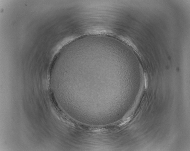 X0000066090579200603171057