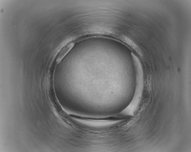 X0000066090580200603171057