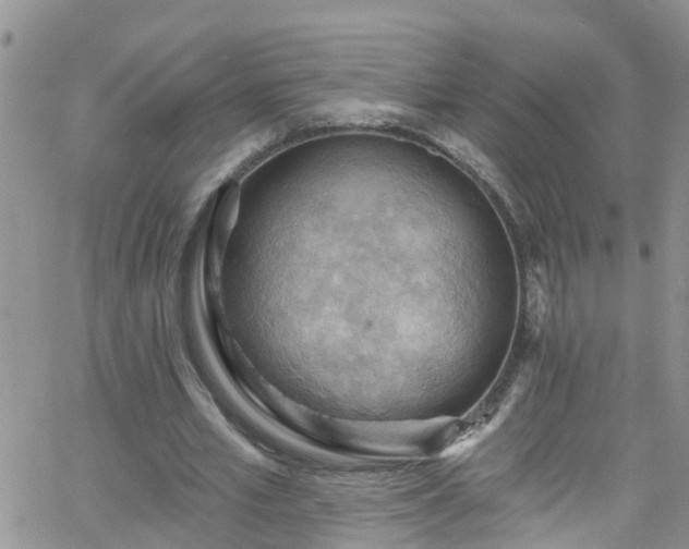 X0000066090581200603171057