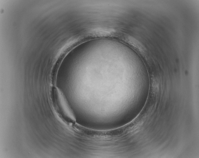 X0000066090582200603171057