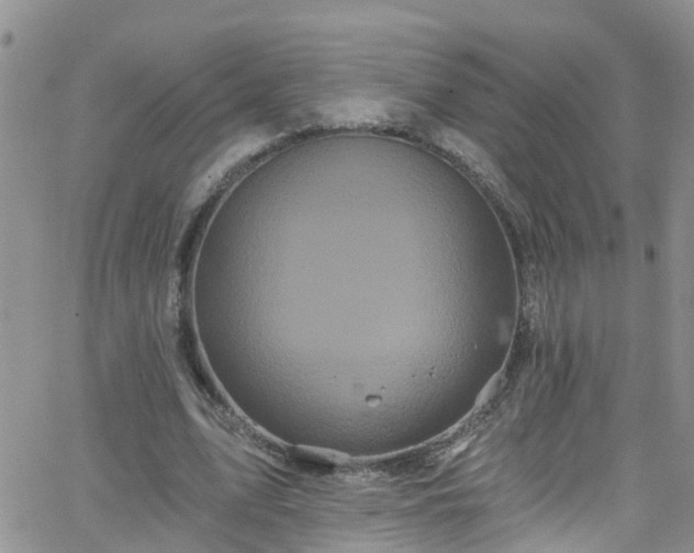 X0000066090583200603171057