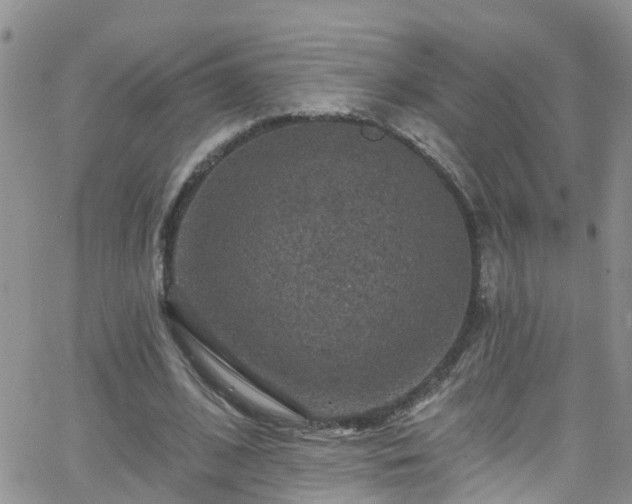 X0000066090584200603171057