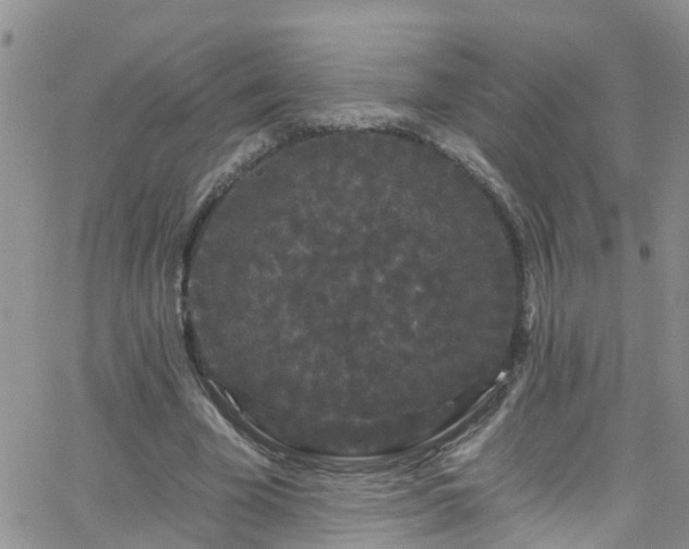 X0000066090585200603171057