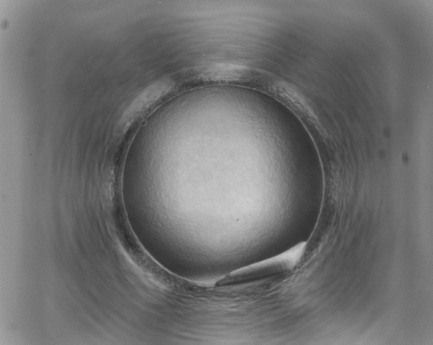 X0000066090586200603171057