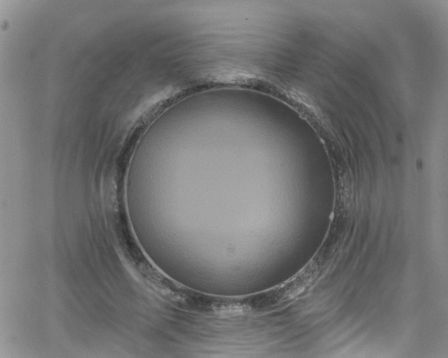 X0000066090587200603171057