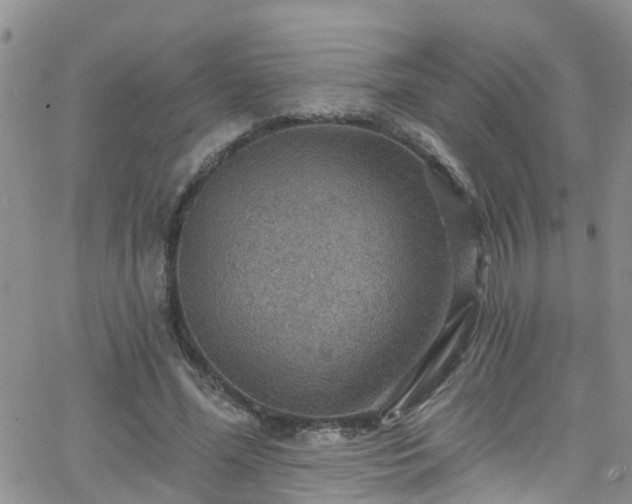 X0000066090588200603171057