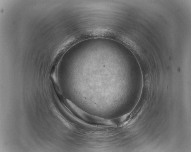 X0000066090589200603171057