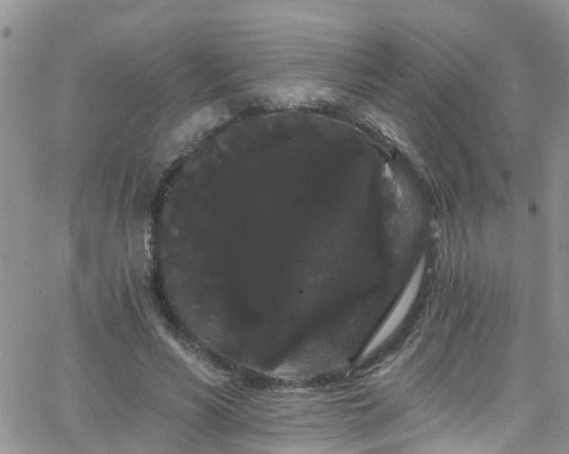 X0000066090590200603171057