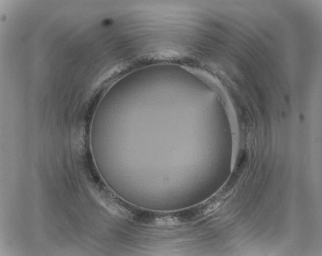 X0000066090591200603171057