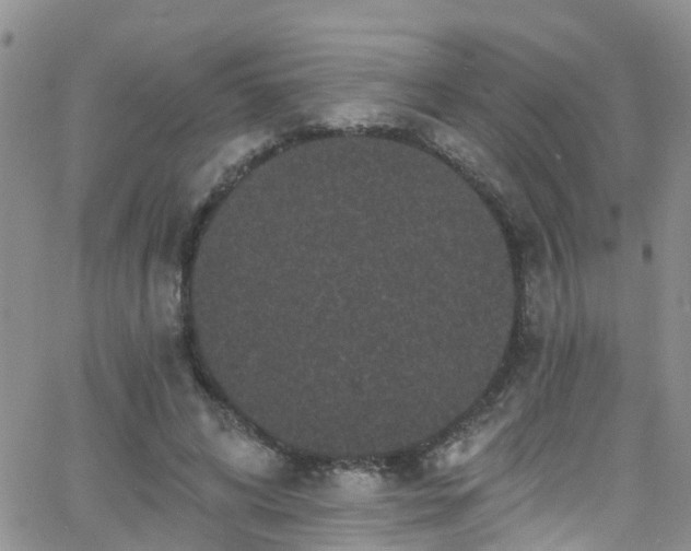 X0000066090592200603171057