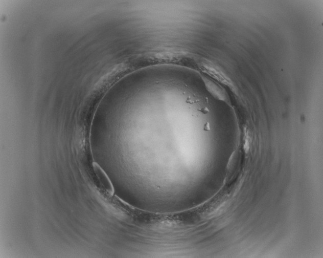 X0000066090593200603171057