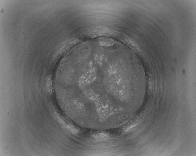 X0000066090594200603171057