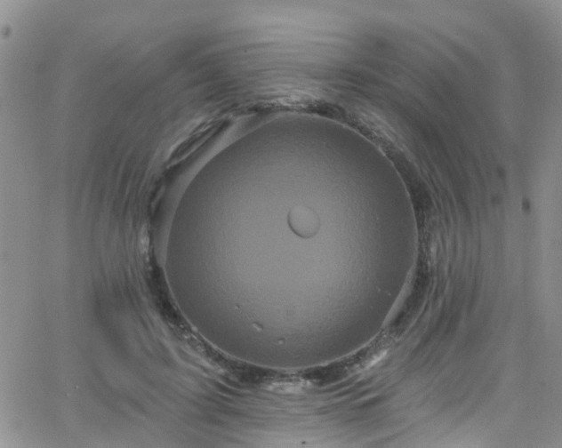 X0000066090595200603171057