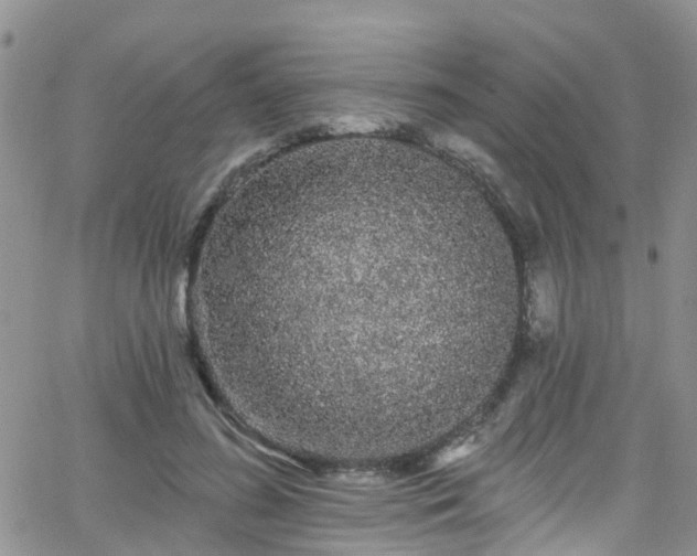 X0000066090596200603171057